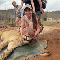 Lion Treatment