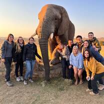 Elephant Interaction