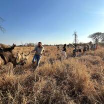 Rhino Relocation