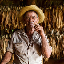 Tobacco Farm