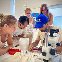 Lab