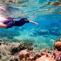 Boy snorkeling in Belize