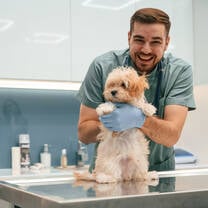 Male Poland Vertinary Intern with a Puppy