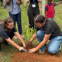 Volunteers planting trees