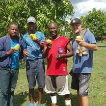 Reforestation and environmental protection 