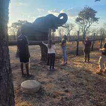 People feeding elephant treats
