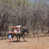 Learning vaulting basics