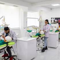 Dentists with patients