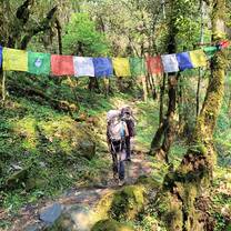 hiking with flags