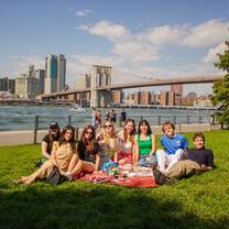 Students having picnic near Brooklyn Bridge
