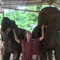 Girl with two elephants at an ethical elephant conversation project