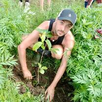 Tree planting