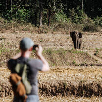 Intern at Kindred Spirit Elephant Sanctuary 