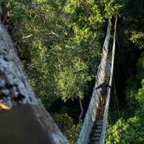A person carefully walks across a narrow rope bridge suspended high above the dense, vibrant green treetops of the Amazon rainforest canopy.