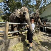Teacher Yvette visiting an ethical elephant sanctuary in the Heartland during KETs UNESCO orientation.