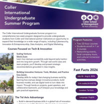 Flyer describing the program 
