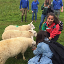 Ireland Wildlife