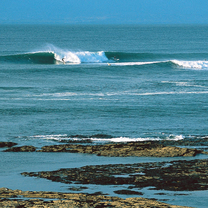 The Wild Atlantic