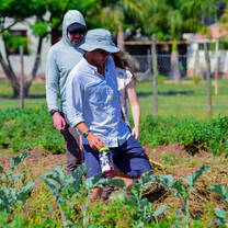 A small group of international volunteers and Kenyan staff walking through vegetable beds on the Maisha school farm while discussing crop growth and soil conditions.