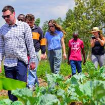 International volunteers and local staff walking through rows of leafy crops on the Maisha Project farm as part of an agriculture and food systems learning activity.