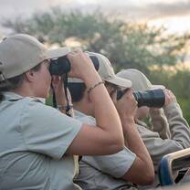 Viewing Nature