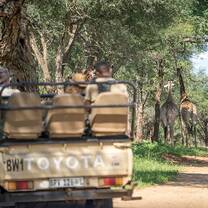 game drive