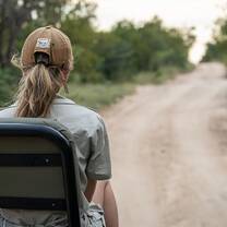 game drive