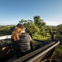 Student looking at Buffalo on game drive