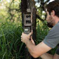 Student checking camera trap