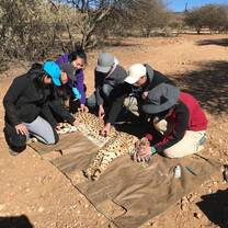 Students with Cheetah