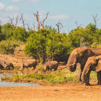 South Africa