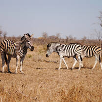 South Africa