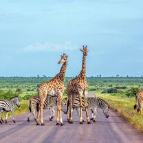 South Africa