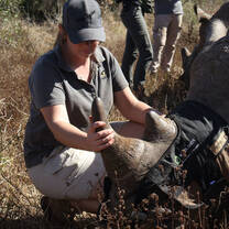 Volunteer with Rhino