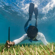 NGO Researcher gathering sea grass data 