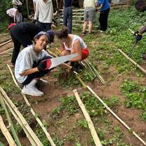 Farming 