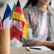 Online language courses (English, French, Spanish, German...)