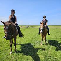 Students horse riding