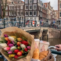 Tulips by the canal