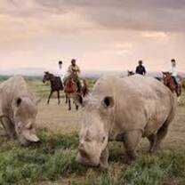 olpejeta