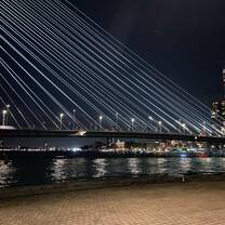 The Erasmus Bridge 