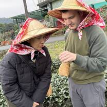 Lingoinn student visiting tea garden