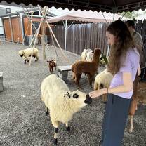 Lingoinn student visiting animal farm 
