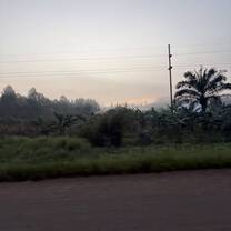tanzania