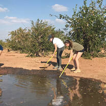 Volunteer tasks