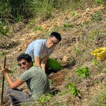 Planting