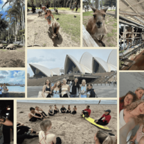 A collage of participants on the beach, working on a farm, and in front of the Sydney Opera House