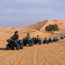 Desert activities 