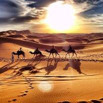 Desert 