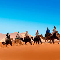 Camel trek in sahara